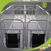 Quality Custom Pig Project Individual Stall Products